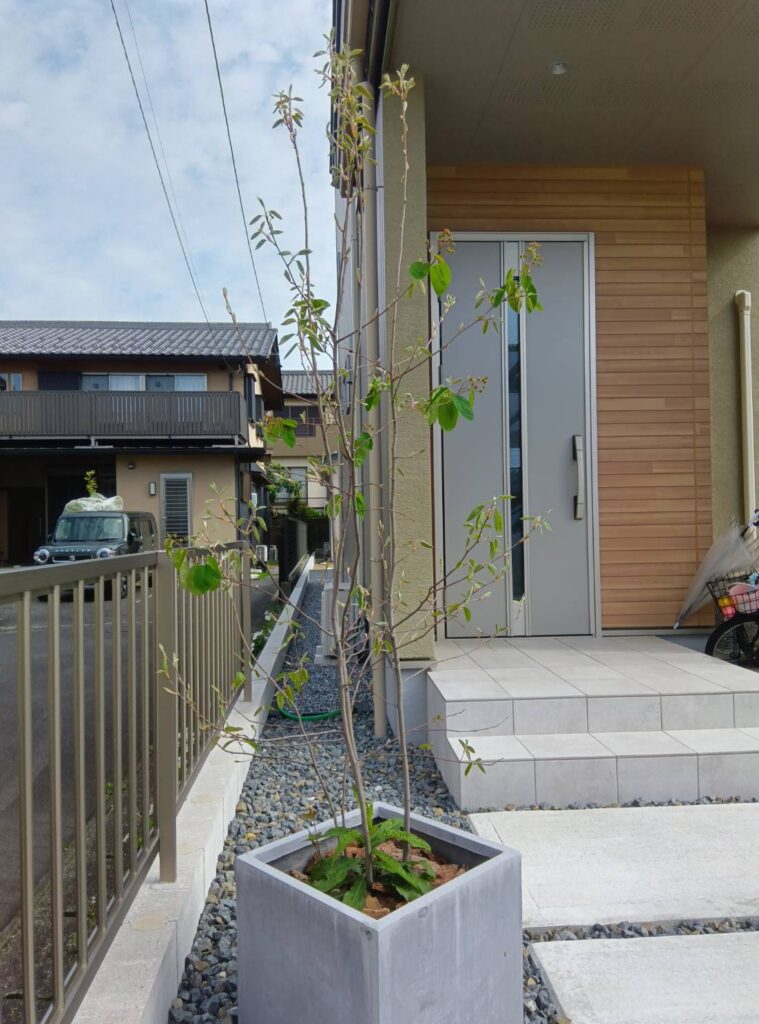 暮らしに馴染む、小さな春の訪れ❀