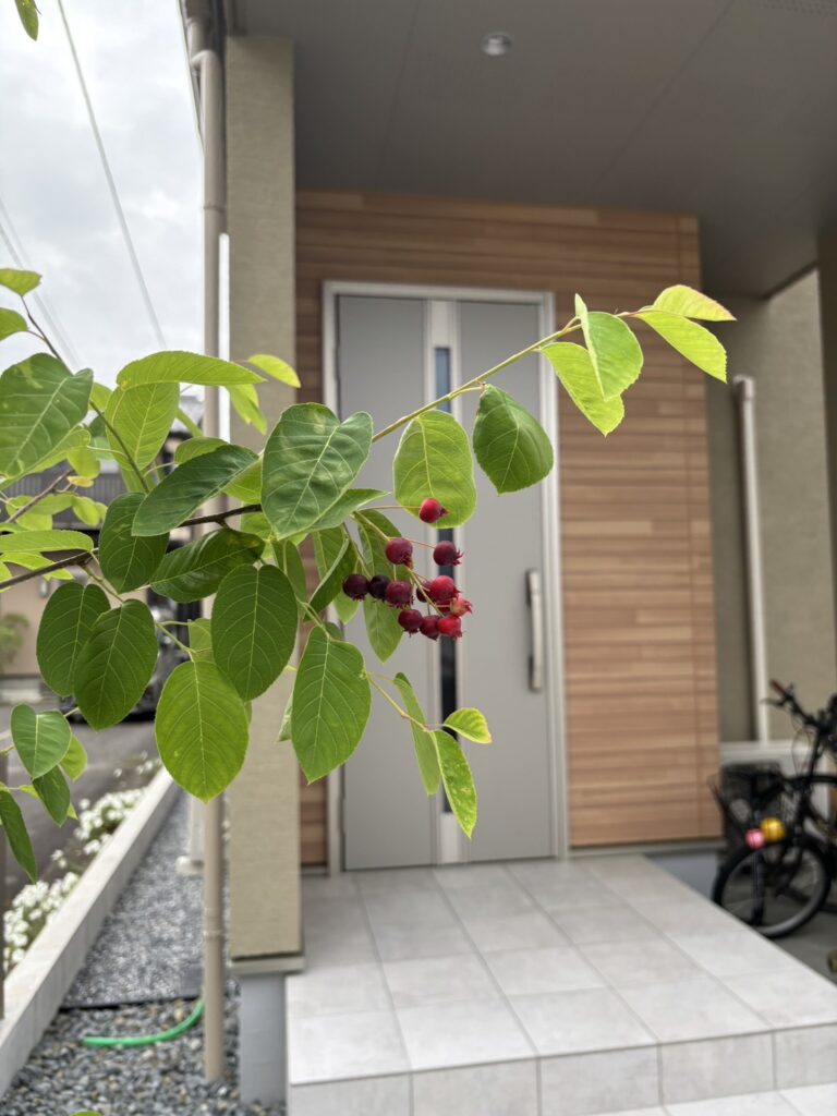お施主様の毎日に、そっと寄り添うお庭の成長❀